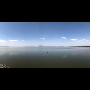 Meet your Posher, Tee